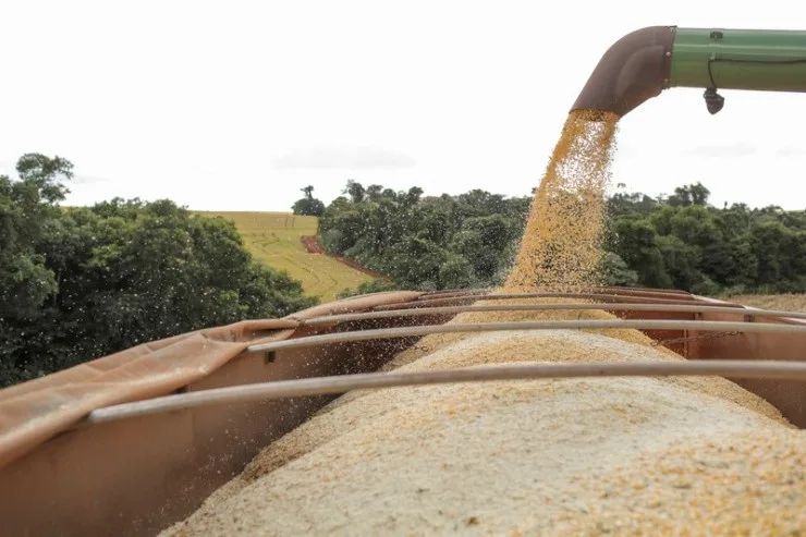 Fim da Moratória da Soja ameaça credibilidade do Brasil e aumenta risco de desmatamento na Amazônia