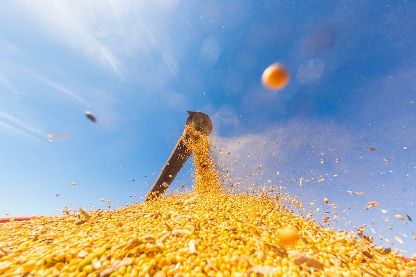 Goiás bate recorde em produção e produtividade de soja na safra 2024/25
