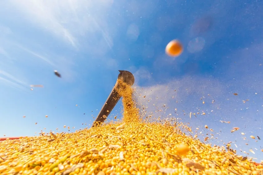 Goiás bate recorde em produção e produtividade de soja na safra 2024/25