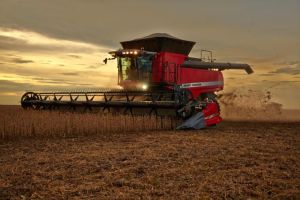 PIB da cadeia da soja e do biodiesel pode crescer quase 11% em 2025, aponta estudo Cepea/Abiove
