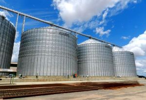 Produtores rurais acumulam prejuízos com calotes de cerealistas no MS; Result é o caso mais recente