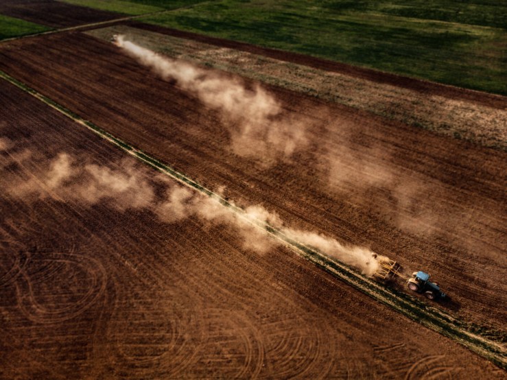 Safra 2024/25 bate recorde e deve alcançar 345,2 milhões de toneladas