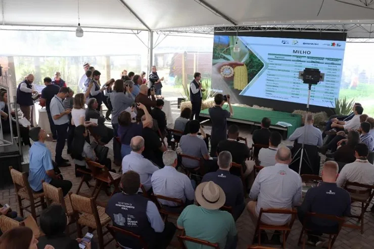 Rio Grande do Sul deve ter aumento de 27,30% na produção de soja e milho em relação à safra passada