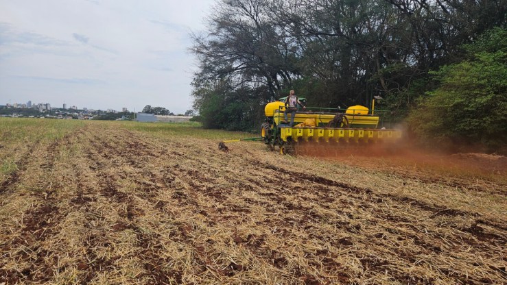 Safra 2025/26 de soja tem início no Oeste do Paraná com orientações de manejo