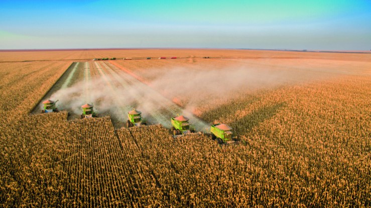 Safra de grãos bate novo recorde e chega a 350 milhões de toneladas