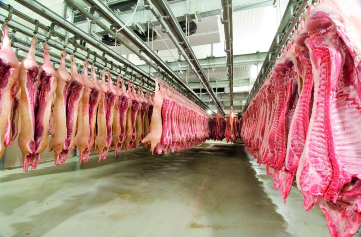 Brasil bate recorde nas exportações de carne suína