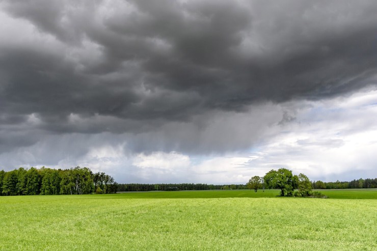 Chuvas desiguais dividem o cenário agrícola brasileiro