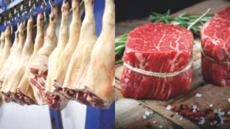 Exportações de carnes suína e bovina batem recorde e impulsionam o agronegócio em 2025