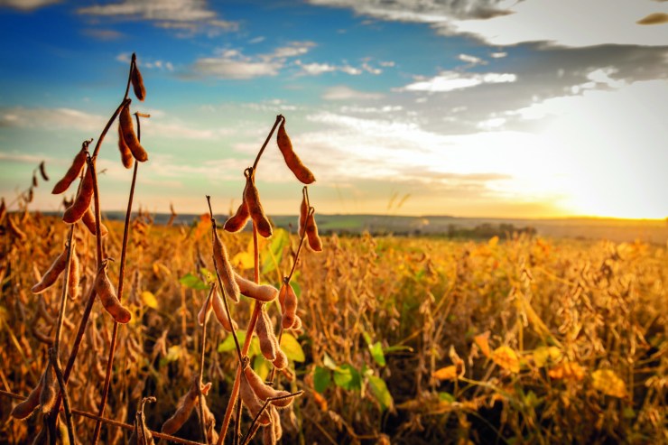 La Niña deve impactar safra 2025/26 no Brasil
