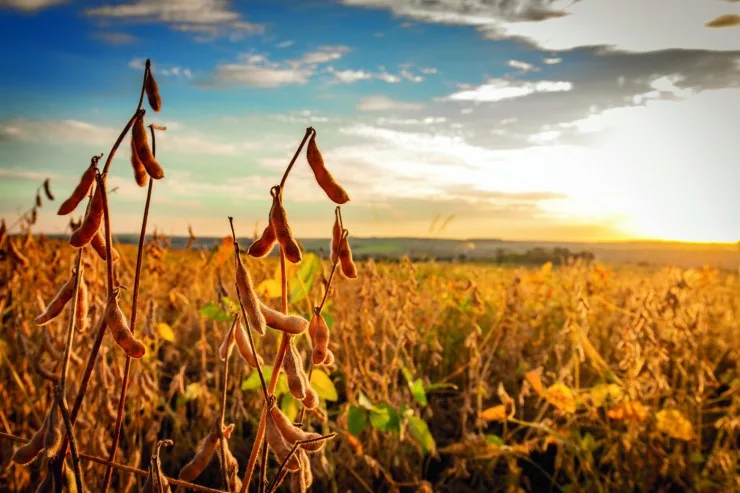 La Niña deve impactar safra 2025/26 no Brasil