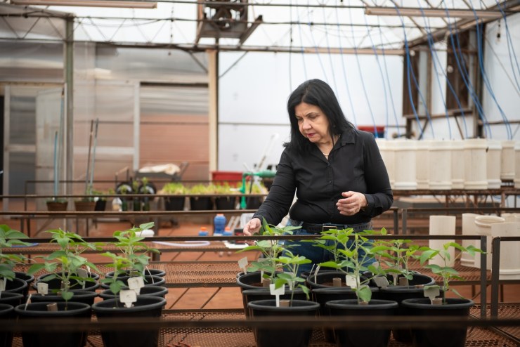 Mariangela Hungria está na lista TIME100 Climate 2025 como personalidade influente em questões do clima