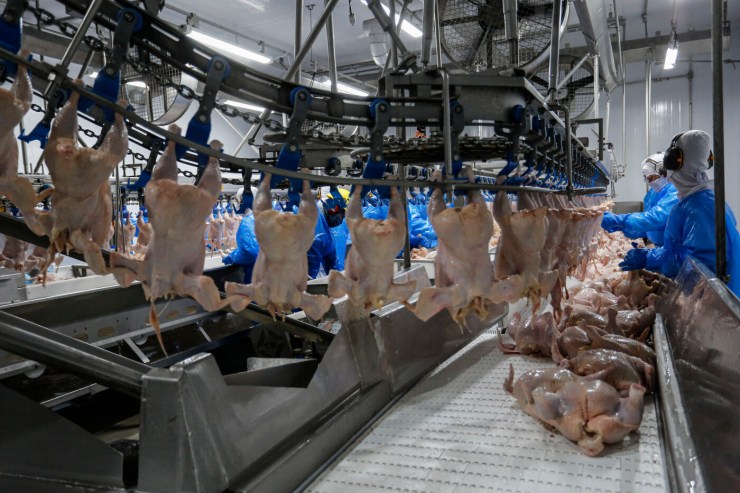 Menor oferta e retomada das exportações impulsionam preços da carne de frango