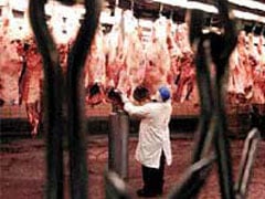 Participação de novilhos no abate em Mato Grosso atinge recorde histórico em setembro, aponta IMEA