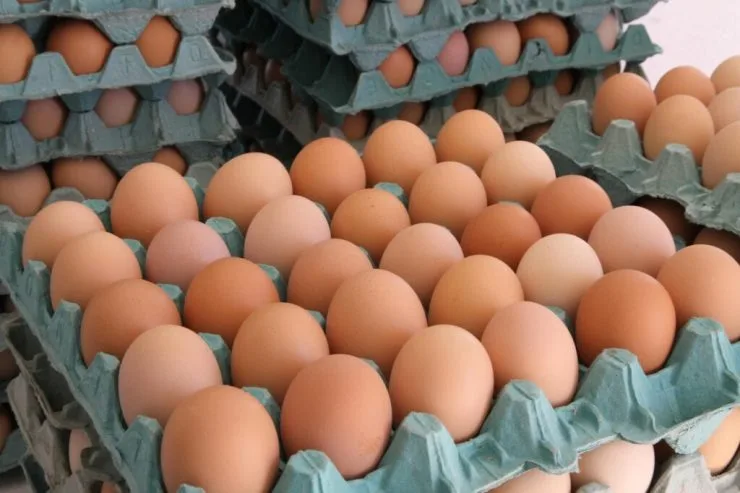 Produção de ovos cresce 65,7%  na última década em Goiás