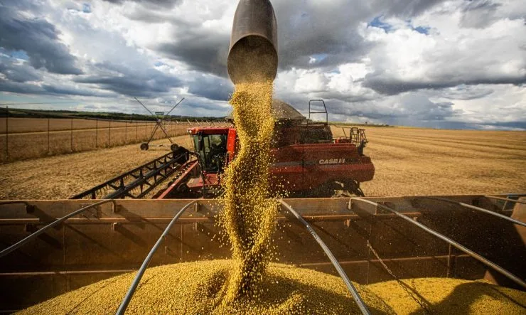 Safra e exportações de soja do Brasil se encaminham para atingir novos recordes