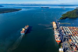 Agro dá salto de 32,8% e sustenta alta das exportações em novembro