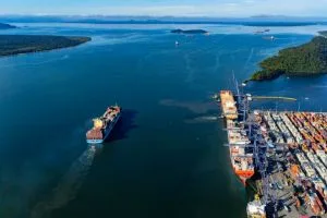 Agro dá salto de 32,8% e sustenta alta das exportações em novembro