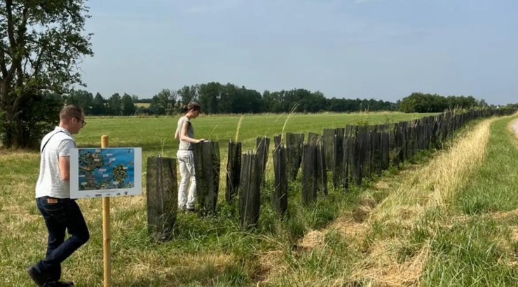 Agroflorestas ganham força como solução sustentável para agricultura e clima