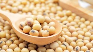 Aumento na área de soja em Goiás traz leve alta para estimativa de safra 2025/26 da StoneX