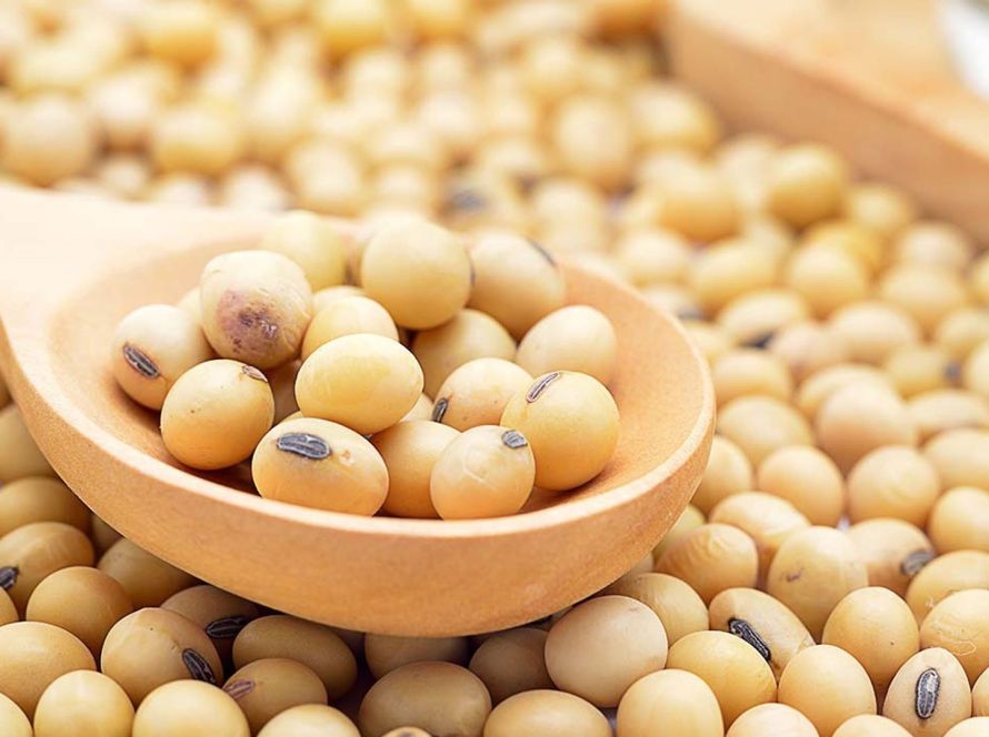 Aumento na área de soja em Goiás traz leve alta para estimativa de safra 2025/26 da StoneX