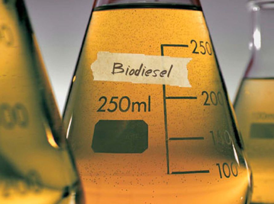 Be8 anuncia aquisição de usina de biodiesel em MT; produção no Brasil deve crescer mais de 40% em 2025