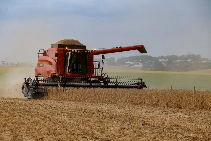 Chuvas do início de novembro provocam adaptações na agricultura paranaense
