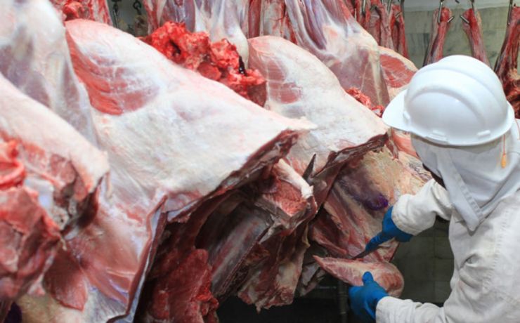 Exportações de carne de Mato Grosso crescem 67% e somam US$ 1,28 bilhão no terceiro trimestre