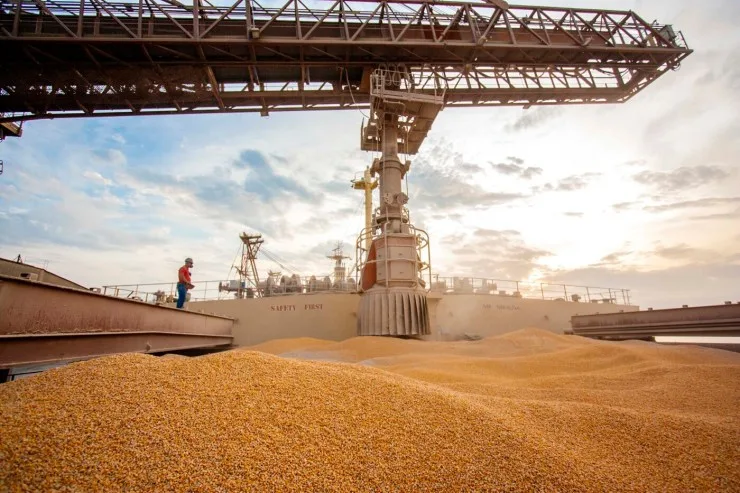 Exportações paranaenses de milho crescem 179% e receitas triplicam em 2025