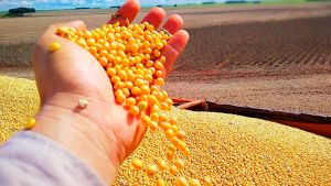 Impulsionado pelo agronegócio e indústria, PIB de Goiás cresce 4,8% em 2023 e supera média nacional