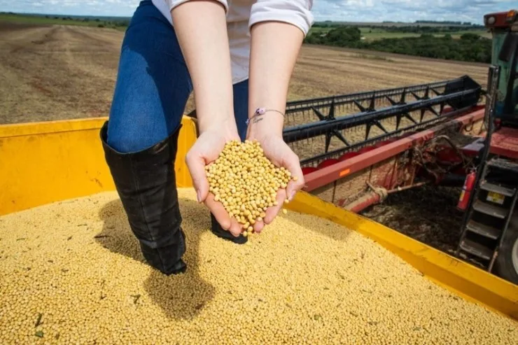 PIB de Goiás cresce 4,8% em 2023 e supera média nacional