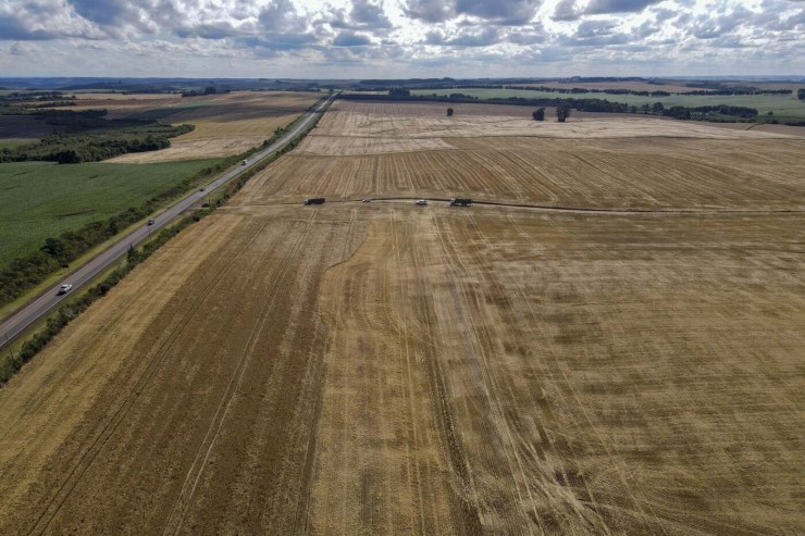 Paraná teve maior safra de grãos de sua história em 2024/25