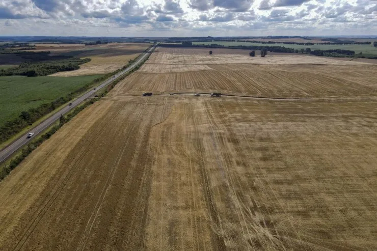 Paraná teve maior safra de grãos de sua história em 2024/25
