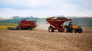 Plantio da soja chega a 57,6% da área e segue abaixo do ritmo histórico