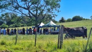 Produtores da Campanha conhecem tecnologias para bovinos e gestão do clima