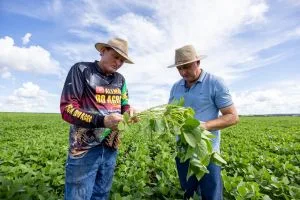 Quarta temporada do MT Clima e Mercado chega à Região Oeste