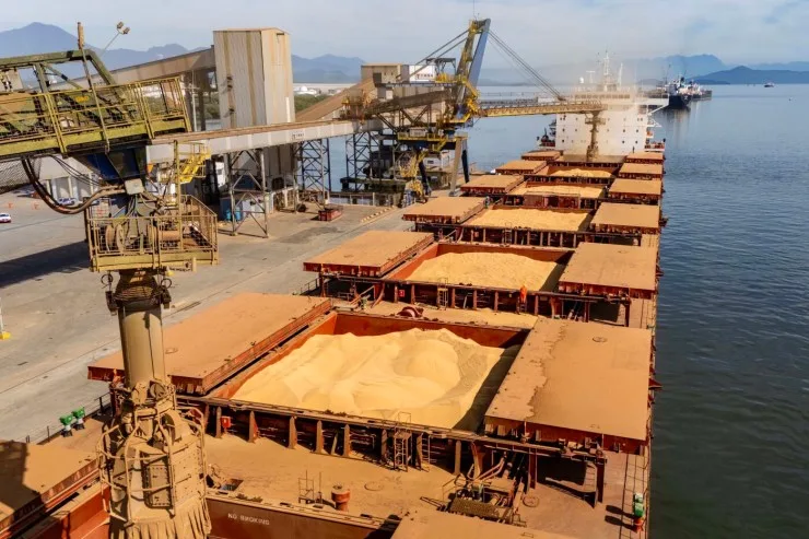 Soja responde por 21% da movimentação e lidera exportações no Paraná