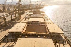 Aumento do calado impulsiona recorde histórico de embarque de milho em Paranaguá