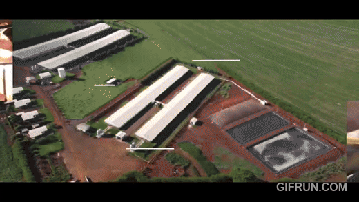 Expedição Suinocultura chega ao Mato Grosso do Sul e estreia nova temporada da série documental