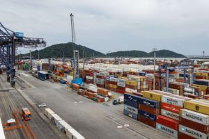 Exportações do Paraná aceleram com salto de cereais e carnes