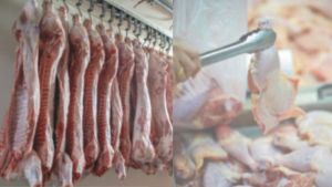 Frango recua 6,5% e suíno cresce 10,4% nas exportações em novembro