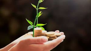 Gestão de caixa e isenção de IR levam produtor de MT ao mercado financeiro