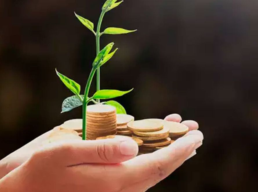 Gestão de caixa e isenção de IR levam produtor de MT ao mercado financeiro