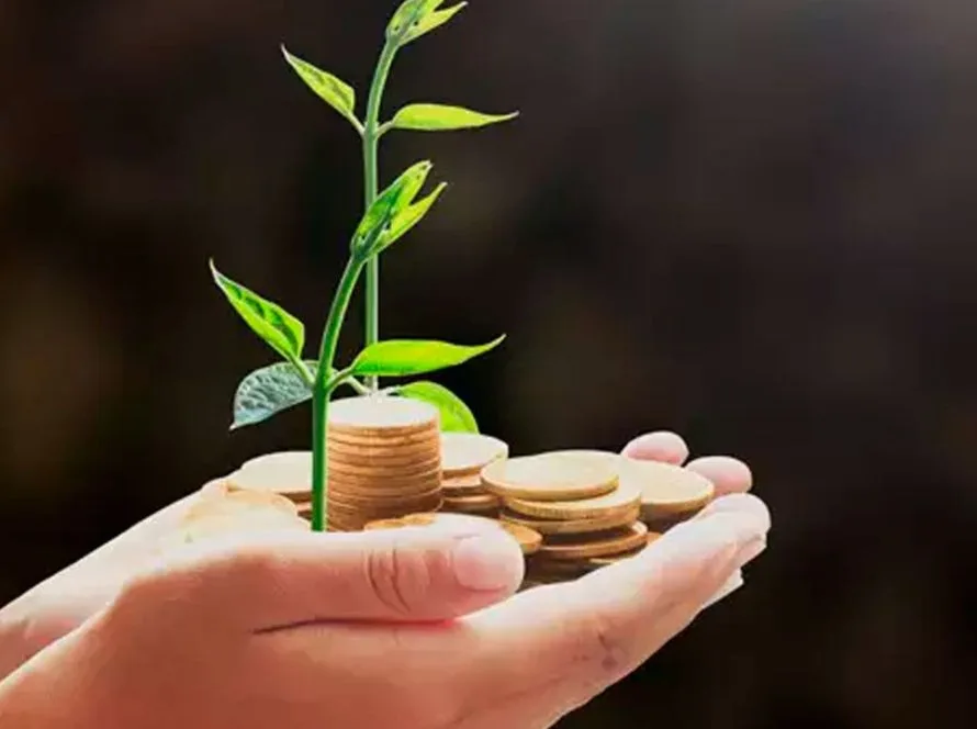 Gestão de caixa e isenção de IR levam produtor de MT ao mercado financeiro