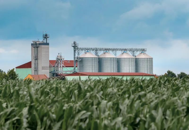 Investimento agrícola cresce 26% em Mato Grosso do Sul