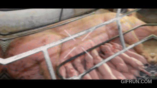 Mato Grosso do Sul: como o estado se tornou a bola da vez do agro brasileiro