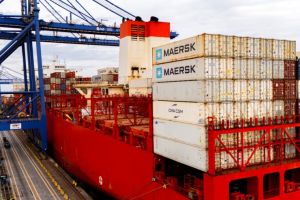 Paraná lidera exportações nacionais em diversos segmentos