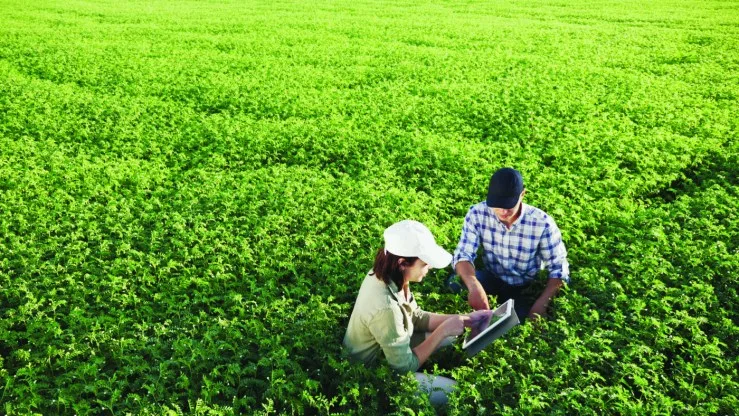 Plataforma Agro Brasil + Sustentável libera habilitação automática de áreas para exportação