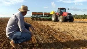 Safra de soja em Mato Grosso entra em alerta com custo recorde de R$ 54,39 bilhões e pressiona produtores a repensar manejo
