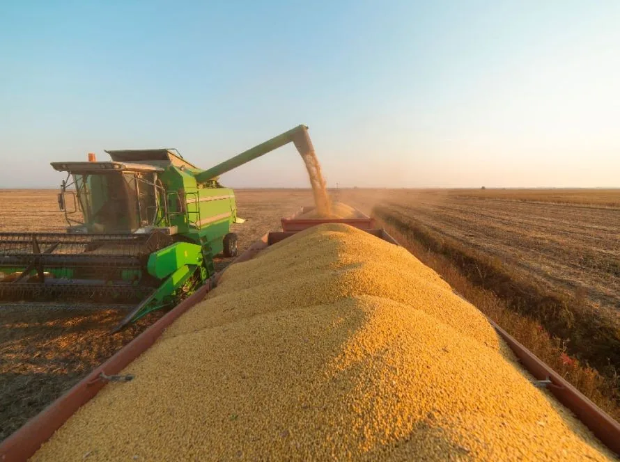 AgRural: Com MT na dianteira e PR atrasado, colheita de soja do Brasil avança para 2%