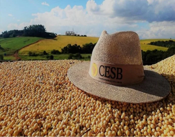CESB adia inscrições do Desafio de Máxima Produtividade de Soja diante dos desafios da safra 2025/26